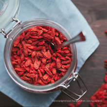 Chinese Wholesale Frozen Food Goji For Help Blood Pressure